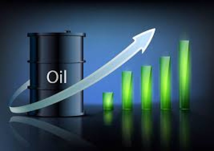 Investing in Oil India: Is It a Good Time? Key Factors to Consider