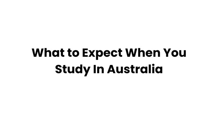 What to Expect When You Study In Australia