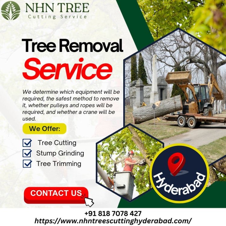 Tree Removal Services in Hyderabad - NHN Tree Cutting Services