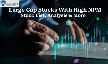 Large Cap Stocks With High NPM