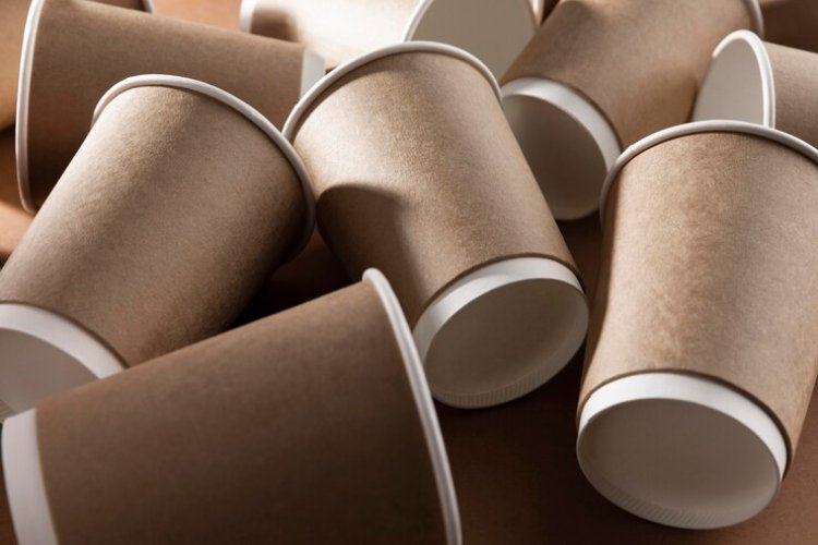 Rice Husk Based Biodegradable Disposable Cups and Plates Manufacturing Plant Project Report 2024: Industry Trends and Investment Opportunities