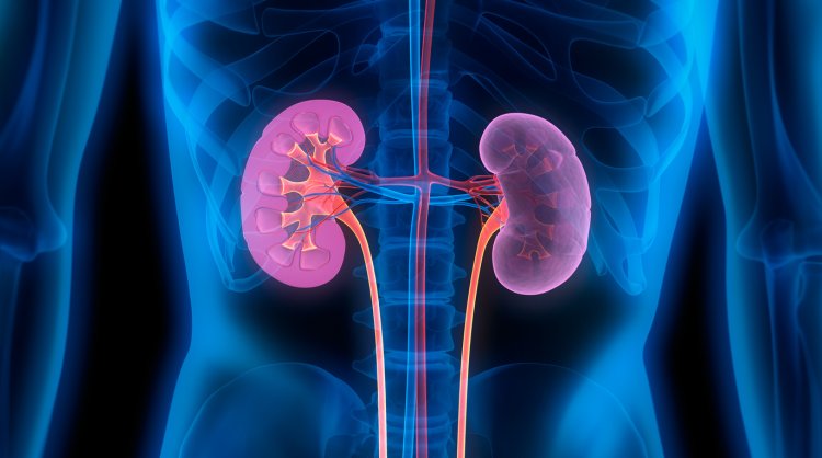 Finding the Best Nephrology Hospital in Chennai: A Comprehensive Guide