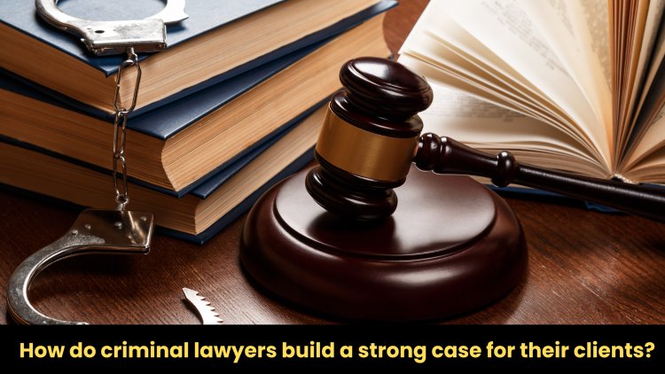 How do criminal lawyers build a strong case for their clients?