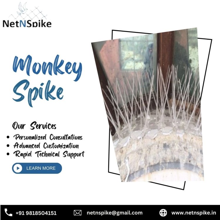 Monkey Spike: A New Phenomenon Evolves and Emerging Effects