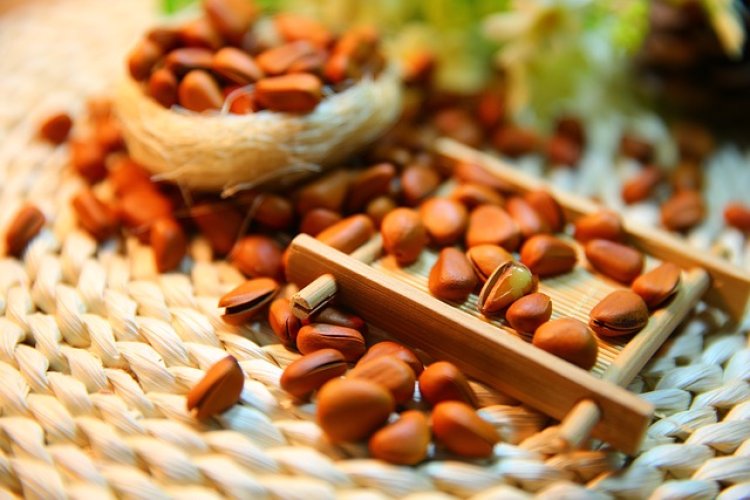 Pine Nuts Market 2024 - Future Trends, Business Strategies, Revenue Value And Forecast By 2033