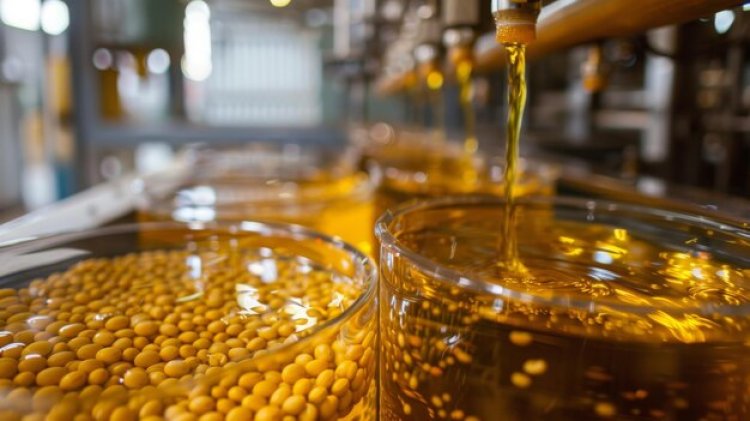 Peanut Oil Market Forecast 2024-2033: Projected CAGR, Key Drivers, And Trends