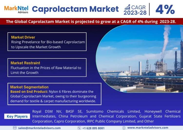 Understanding the Caprolactam Market Size, Share, Analysis Forecast 2028