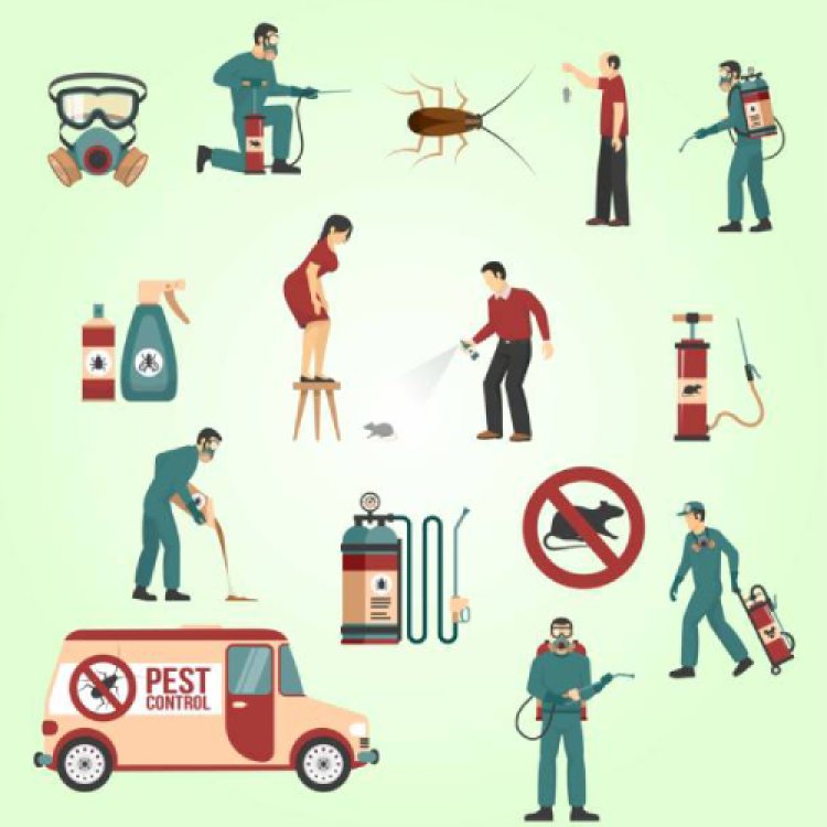 Pest control noida | Termite control noida | Pest control greater noida - One India Pest Control