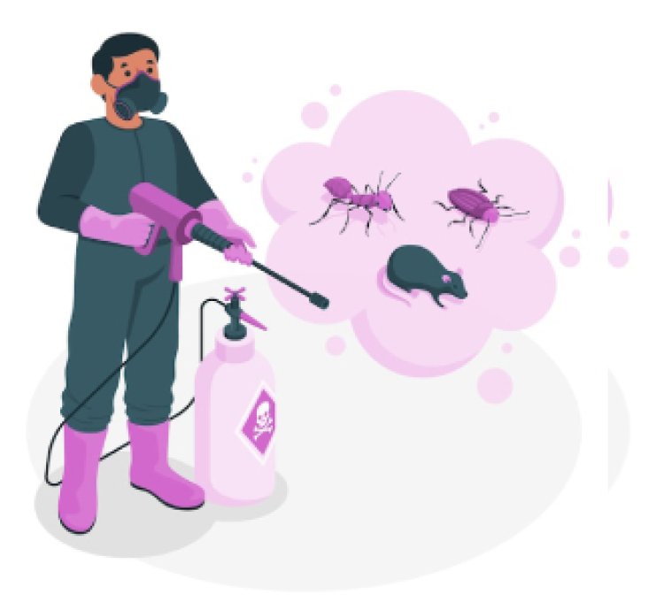 One India Pest Control – Expert Pest Control in Delhi, Noida, Ghaziabad, Greater Noida & Shahdara