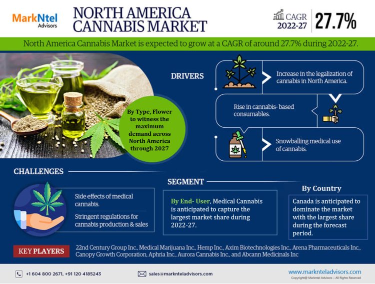 What's Driving the North America Cannabis Market Trends? 22nd Century Group Inc, Medical Marijuana Inc, Hemp Inc, Axim Biotechnologies Inc, Arena Pharmaceuticals Inc.