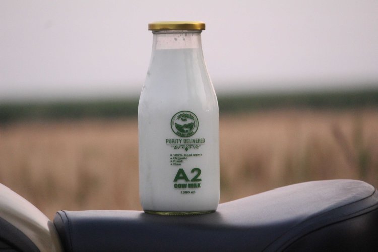 Comparing A2 Milk with Plant-Based Alternatives: Pros and Cons