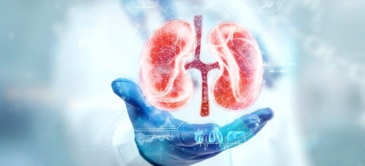 Finding the Best Nephrology Hospital in Hyderabad: A Comprehensive Guide