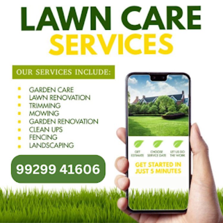 Comprehensive Guide to Landscaping and Gardening Services in Jaipur