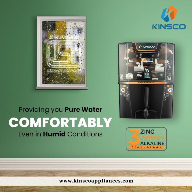 Best Water Purifier for Home