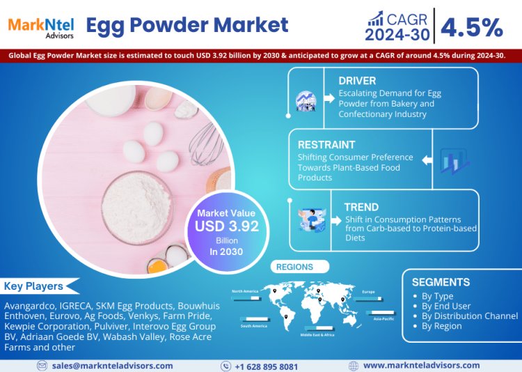 Egg Powder Market Size 2024-2030: Avangardco, ?? Ovostar, IGRECA, SKM Egg Products, Bouwhuis Enthoven