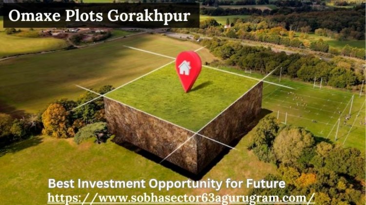 Omaxe Plots Gorakhpur | Best Investment Opportunity for Future