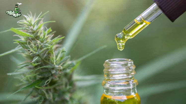 The Best CBD Oil for Optimal Wellness: Uncovering What Sets It Apart