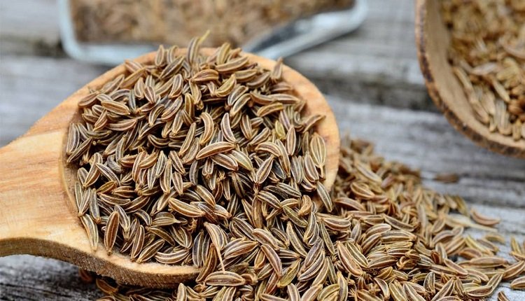 Caraway Seeds Market Booms with Shift in Dietary Preferences and Awareness