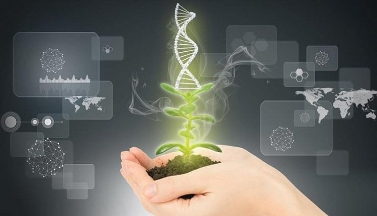 Plant Breeding and CRISPR Plant Market: Climate Change and Advancements Drive Demand