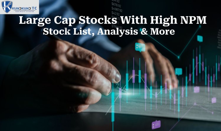 High Net Profit Margin Large Cap Stocks to Watch