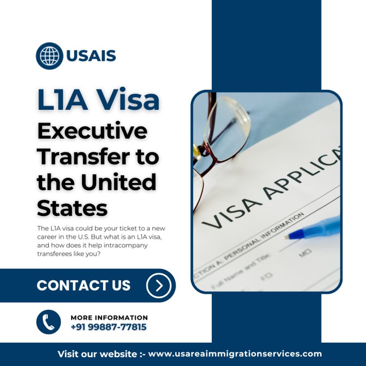 L-1 Visa: Your Guide to Intracompany Transfers and new office setup