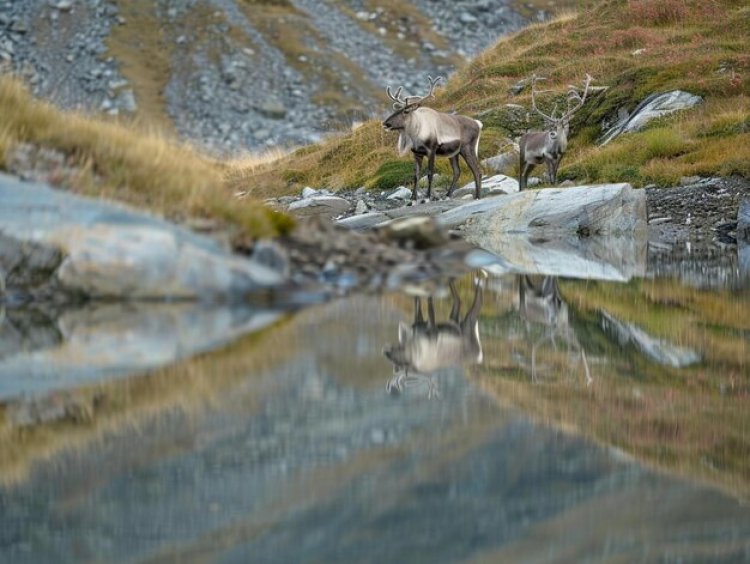 Most beautiful places for Scottish hiking and trekking