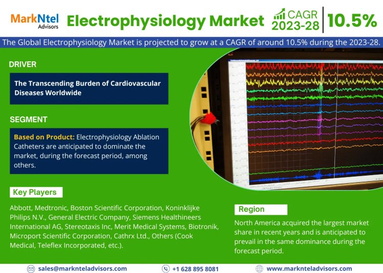 What's Driving the Electrophysiology Market Trends? Abbott, Medtronic, Boston Scientific Corporation, Koninklijke Philips N.V., General Electric Company, Siemens Healthineers International AG