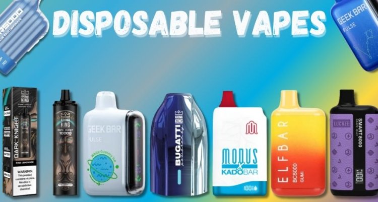 The Best Disposable Vape Brands of 2024 | Smokers Heap