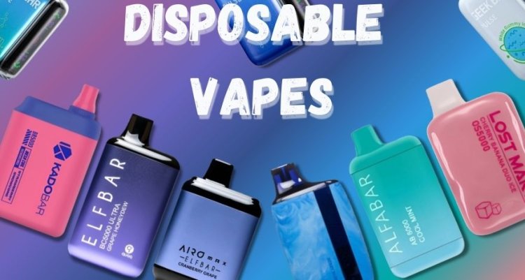 The Best Disposable Vape Brands of 2024 | Smokers Heap