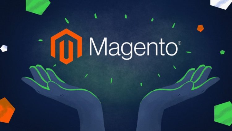 Why You Need a Magento SEO Consultant for Your Online Store