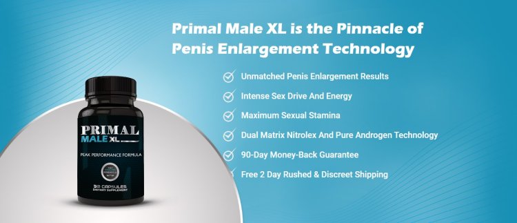 Primal Male XL: Is It Effective for Men’s Health?