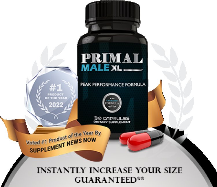 Primal Male XL :-  Exploring the Popularity of Primal Male XL