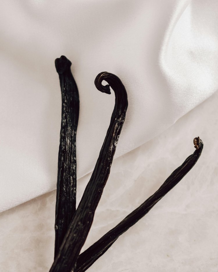 Exploring the World of Vanilla: A Guide to Different Types of Vanilla Beans