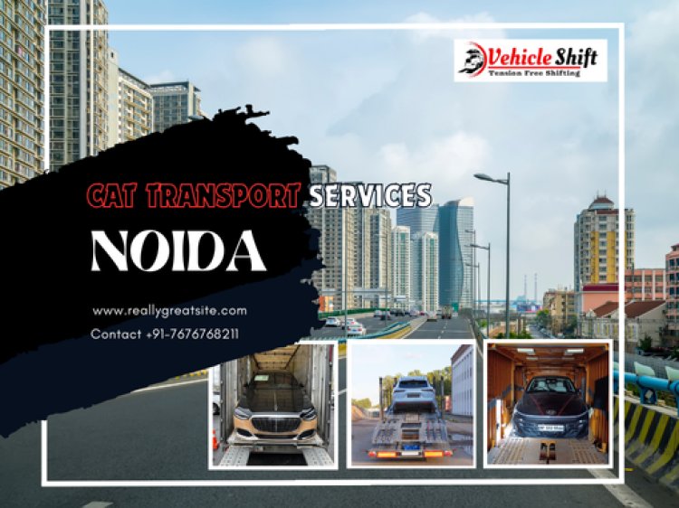 Top Car Movers and Packers in Noida