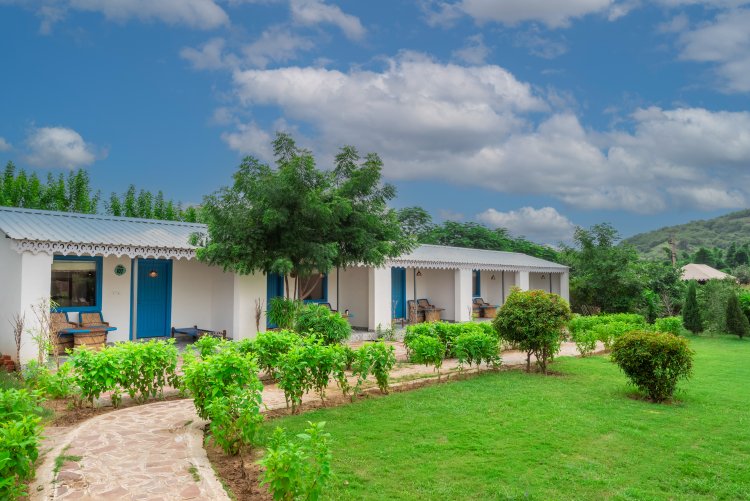 Farm Aravalia : Best Place For One Day Outing Near Gurgaon