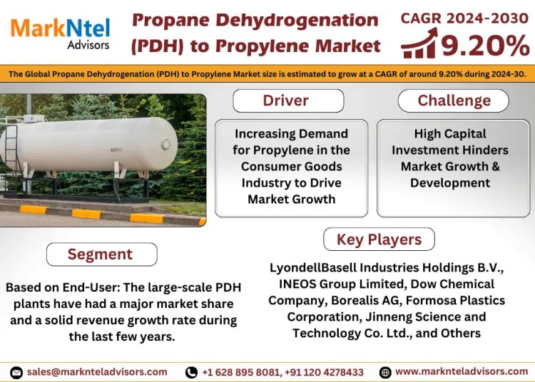 Propane Dehydrogenation to Propylene Market 2024: Industry Growth, Competitive Analysis, Future Prospects and Forecast 2030