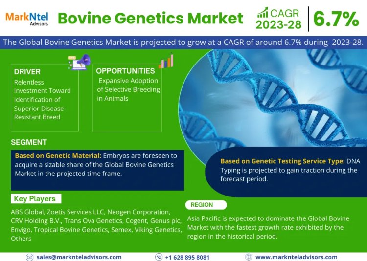 Bovine Genetics Market Size 2023-2028: ABS Global, Zoetis Services LLC, Neogen Corporation, CRV Holding B.V., Trans Ova Genetics