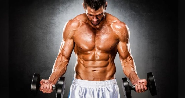 Best Anabolic Steroids Reviews: A In-Depth Analysis of Steroids