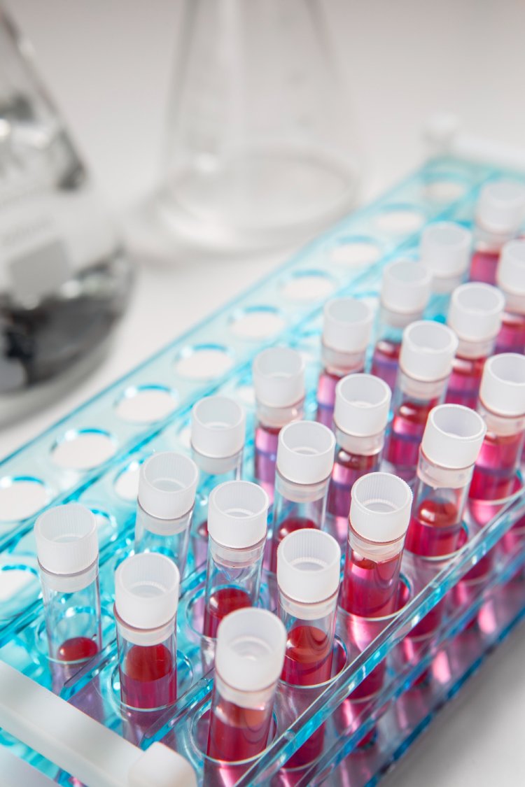 Cell Culture Consumables And Equipment Market Statistics, Analysis And Overview 2024-2033