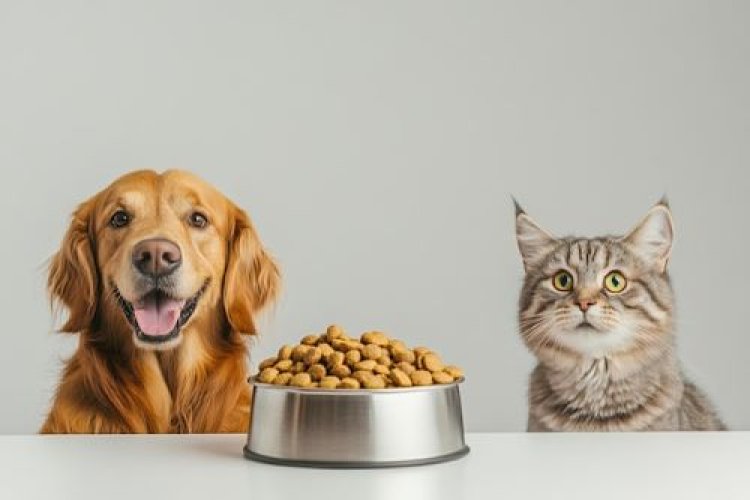 Animal And Pet Food Market Expansion 2024-2033: Growth Drivers and Dynamics