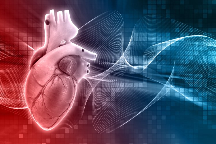 Cardiovascular Medical Lasers Market Analysis, Trends And Forecast By 2024-2033