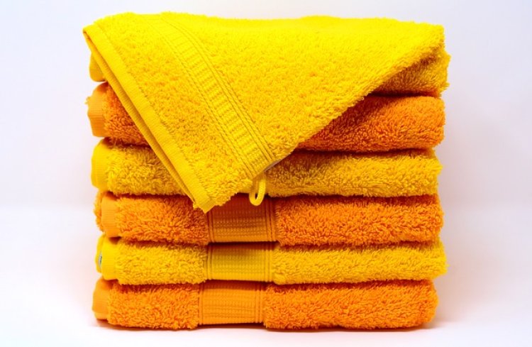 Tissue Towel Global Market Forecasted to Reach $36.52 Billion by 2028, Size, Share, Trends, Development Strategies and Segmentation Analysis