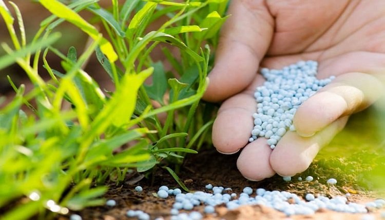 Polymer Coated Fertilizers Market: Boosted by Tech Advances and Rising Population