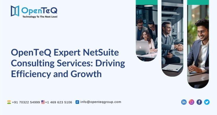 OpenTeQ Expert NetSuite Consulting Services: Driving Efficiency and Growth