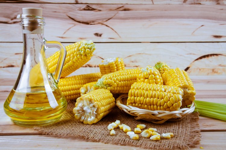 Corn Oil Market Size, Share, Key Players, Growth and Forecast 2024-2032