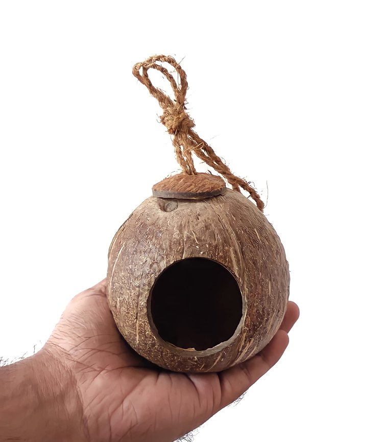 Coconut Shells Wholesale & Sepia in Tuticorin – Eco-Friendly Products