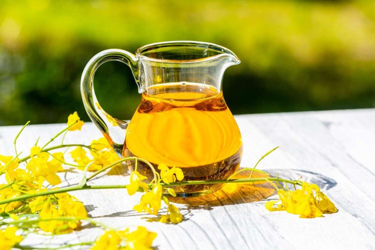 Canola Oil Market Size, Share, Top Companies, Growth and Forecast 2024-2032