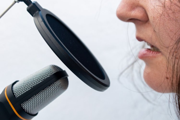 Voice Prosthesis Devices And Equipment Market Statistics, Analysis And Overview 2024-2033