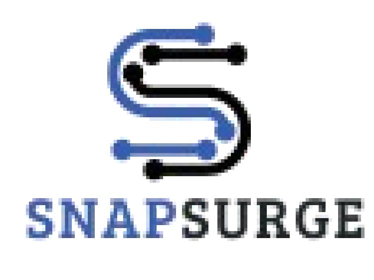 Boost Your Brand’s Online Presence with SnapSurge.in – Your Expert Digital Marketing Agency