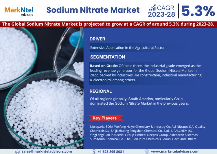 What's Driving the Sodium Nitrate Market Trends? Nitroparis, SQM, Weifang Haiye Chemistry & Industry Co, Acf Nitratos S.A, Quality Chemicals S.L